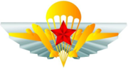 СОЮЗ ДЕСАНТНИКОВ ТАТАРСТАНА